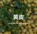 黄皮