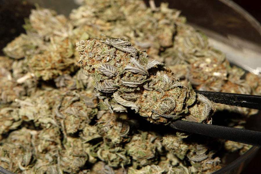 女性吸毒的危害都体现在哪里