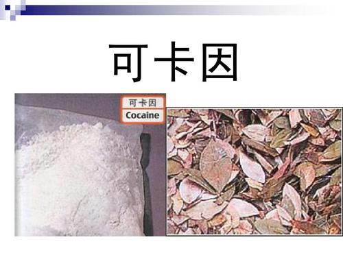 可卡因对大脑的危害