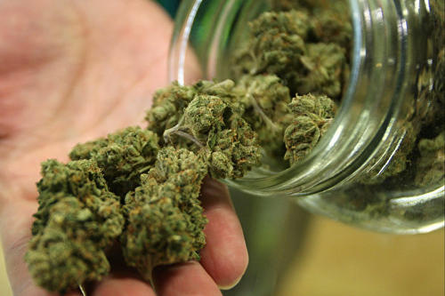 大麻
