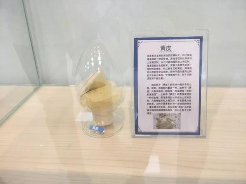 黄皮