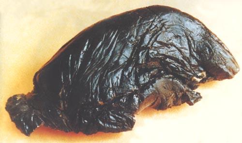 鸦片俗名大烟是一种毒品
